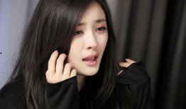 娱乐爆料 白鹿刘亦菲视频,神秘互动引网友热议